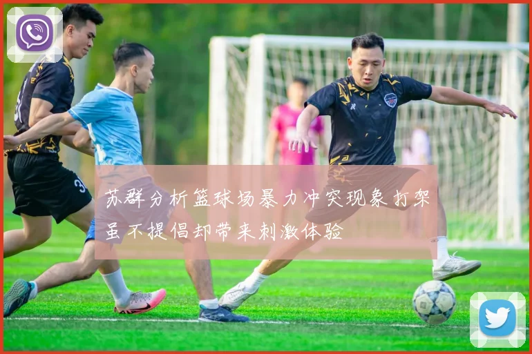 苏群分析篮球场暴力冲突现象打架虽不提倡却带来刺激体验