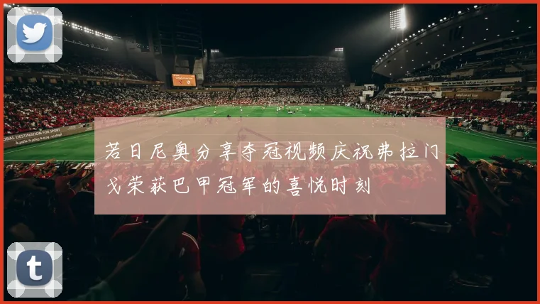 若日尼奥分享夺冠视频庆祝弗拉门戈荣获巴甲冠军的喜悦时刻