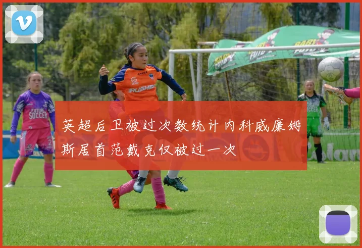 英超后卫被过次数统计内科威廉姆斯居首范戴克仅被过一次