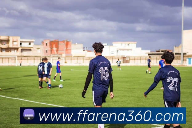 非凡体育平台生态图