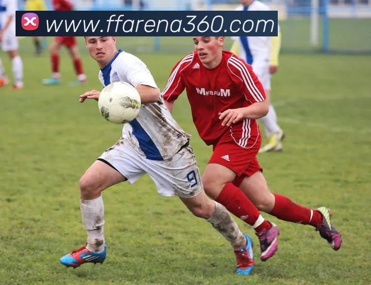 非凡体育APP 封面图